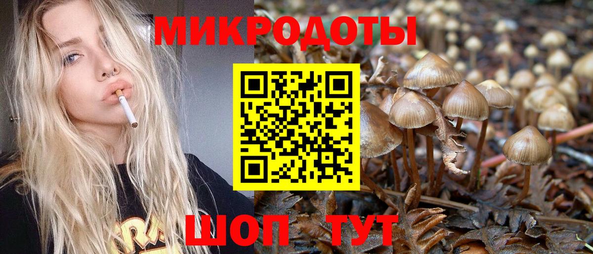 Клин  Псилоцибиновые грибы GOLDEN TEACHER  Галлюциногенные грибы ЛСД  Вход с VPN 
